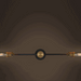 Circa Duo Industrial Wall Light With Brass Fitting - 2 heads - DWHOME