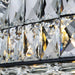 Bacci Kitchen Island Modern Crystal Chandelier - DWHOME