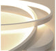 LED Double Ovals Metal Ceiling Light - DWHOME