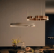 LED North-European Modern Halo Decorative Pendant Light - DWHOME