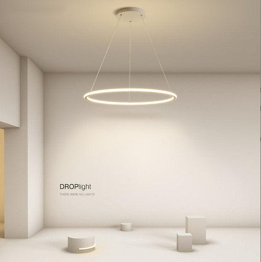 LED Minimalism Circle Pendant Light-DWHOME