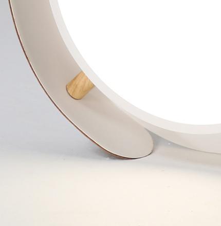 LED Circle & Belt Modern Ceiling Light - DWHOME