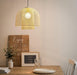 LED Metal Double Nets Pendant Light - DWHOME