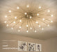 LED Starry Night Ceiling Light - DWHOME