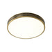 LED Full Brass Vintage Style Ceiling Light-DWHOME