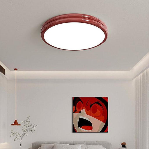 LED Simple Modern Cookie Design Multi-color Ceiling Light-DWHOME