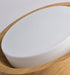 LED Full Moon Ceiling Light - DWHOME