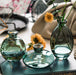 Glass Vases - DWHOME