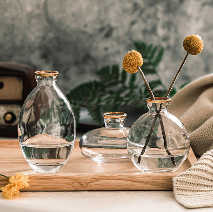 Glass Vases - DWHOME