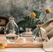 Glass Vases - DWHOME
