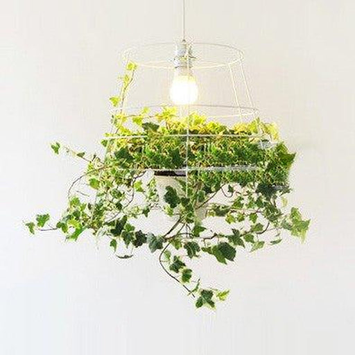 Hanging Plant Cage Pendant Light-DWHOME