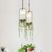 Hanging Plant Vase Brass Pendant Light - DWHOME