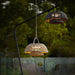 Illusion Hanging Lamp - DWHOME