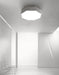 Innocenzio White Geometric Octagon Shaped Ceiling Lamp - DWHOME