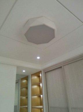 Innocenzio White Geometric Octagon Shaped Ceiling Lamp - DWHOME