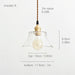 Petunia Glass Mid Century Brass Pendant Light - DWHOME