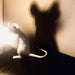 Mouse Table Light-DWHOME