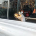 Mouse Table Light-DWHOME