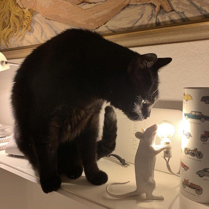 Mouse Table Light-DWHOME