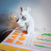 Mouse Table Light-DWHOME