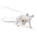 Mouse Table Light-DWHOME