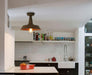 Retro Rustic Industrial Fixed Ceiling Light - DWHOME